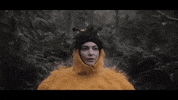 Bee Charity GIF by The Head And The Heart