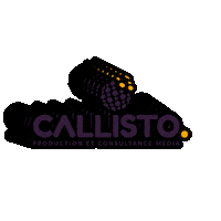 CallistoProd callisto Sticker