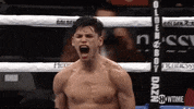 Gervonta Davis Boxing GIF by SHOWTIME Sports