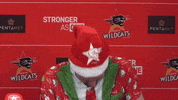 jesse wagstaff win GIF by Perth Wildcats