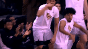 GIF by UCF Knights