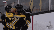 2019 stanley cup finals GIF by NHL