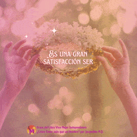 Frase Libro GIF by Jacqueline M.Q.