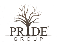 pride_group sudendushah pridegroup sudendu companiespride GIF