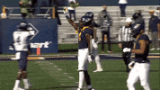 College Football GIF by WVU Sports