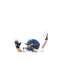 Football Sticker by Helsinki Wolverines