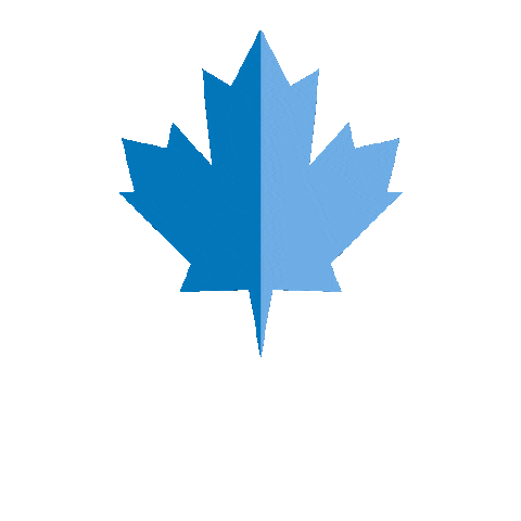 DrinkSimple giphyupload orange lemon sparkling Sticker