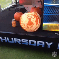 tnf GIF by NFL