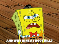 season 5 GIF by SpongeBob SquarePants