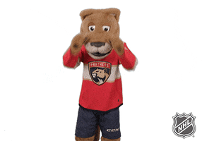 Ice Hockey GIF by NHL