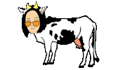 doja cat rap Sticker