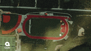 GIF by Blueforest Studios