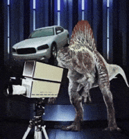 Camera Man Dashcam GIF