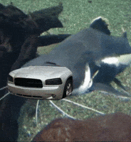 Catfish Charger GIF
