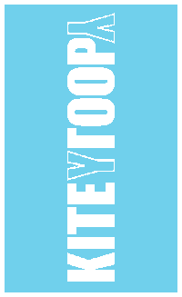 Logo Post Sticker by KITEYLOOPY