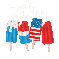 4Th Of July Party In The Usa Sticker