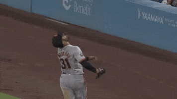 San Francisco Giants Wow GIF by MLB