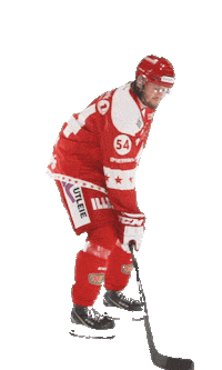 Stjernen Elite Sticker by StjernenHockey
