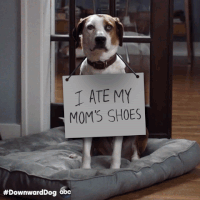 GIF by ABC Network