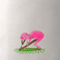 GIF by Neil Sanders