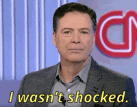 cnn i wasn't shocked GIF