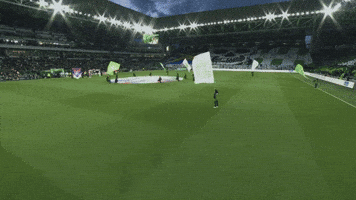 Animation Fans GIF by AS Saint-Étienne