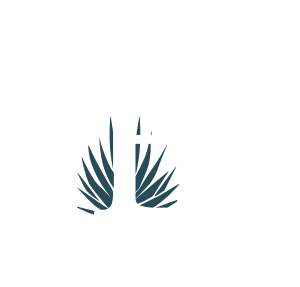 Brand Sticker by Santomar