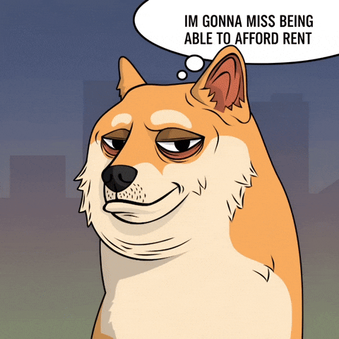 Shiba Inu Thinking GIF by Doge Pound