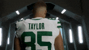 Football Nfl GIF by New York Jets