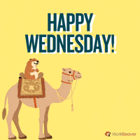 Keep Going Wednesday Morning GIF by WorkBeaver