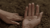 Cosmospossibleworlds GIF by cosmosontv