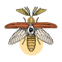 vicreg tarot firefly fulgor luciernaga Sticker