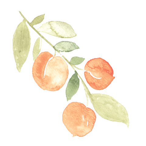 Illustration Orange Sticker by urbanwalls