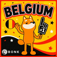 Crypto Solana GIF by BONK