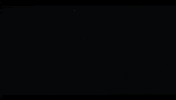 Princess Diana Broadway GIF by dianaonbroadway