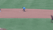 Blue Jays Baseball GIF by Toronto Blue Jays