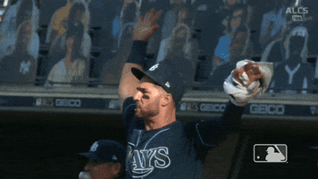 Excited Lets Go GIF by MLB