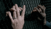 Shemar Moore Swat GIF by CBS