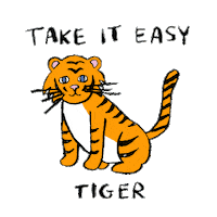 Take It Easy Tiger Sticker by Aerie