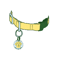 Dog Walking Sticker by Walks With Alex