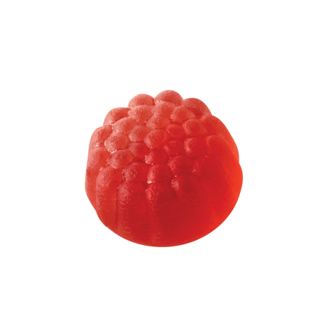 YumEarth organic raspberry fruit snacks fruit snack Sticker