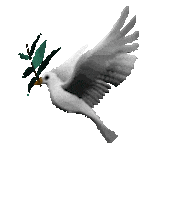 bird STICKER