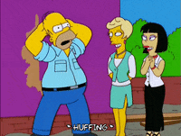 homer simpson GIF