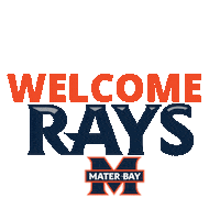 Rays Sticker by Mater Bay
