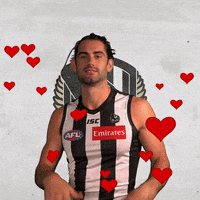collingwoodfc pies collingwood magpies collingwoodfc GIF
