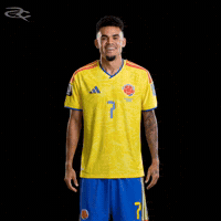 Fifa World Cup Colombia GIF by Respective