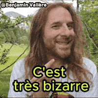 Bizzard Surprenant GIF