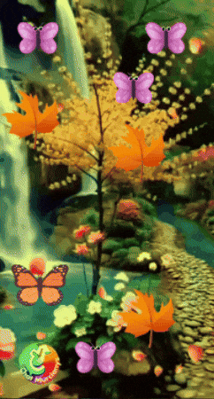 El Sol Amigos GIF by Murcianys LLC