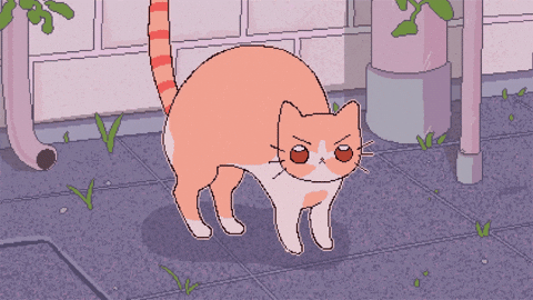 Cat Cream GIF