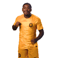 Fifaworldcup Celebrating Sticker by OnsOranje